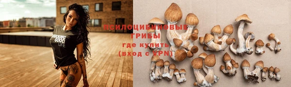 apvp Семилуки