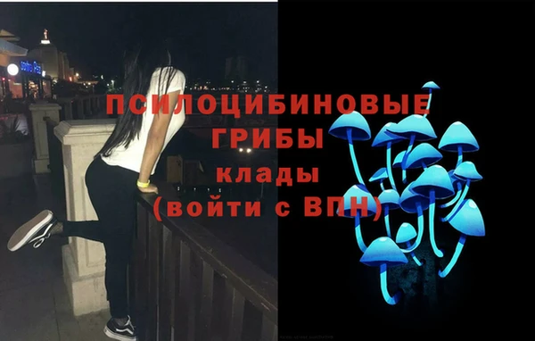 молекула духа Алексеевка