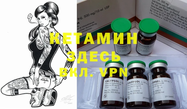 apvp Семилуки