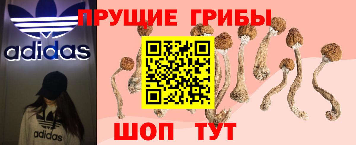 Галлюциногенные грибы Psilocybe Беслан