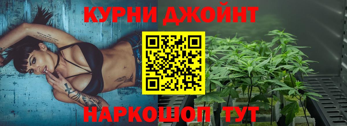 Конопля тримм  Марихуана индика  Вход с VPN  МАРИХУАНА White Widow  Бошки марихуана ГИДРОПОН  Беслан 
